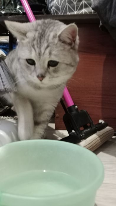 Бросили и переехали