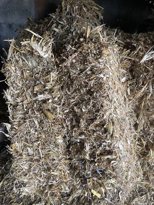 Baloti de frunzari de ciocani cu iarba