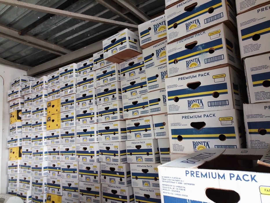 Нови кашони от банани