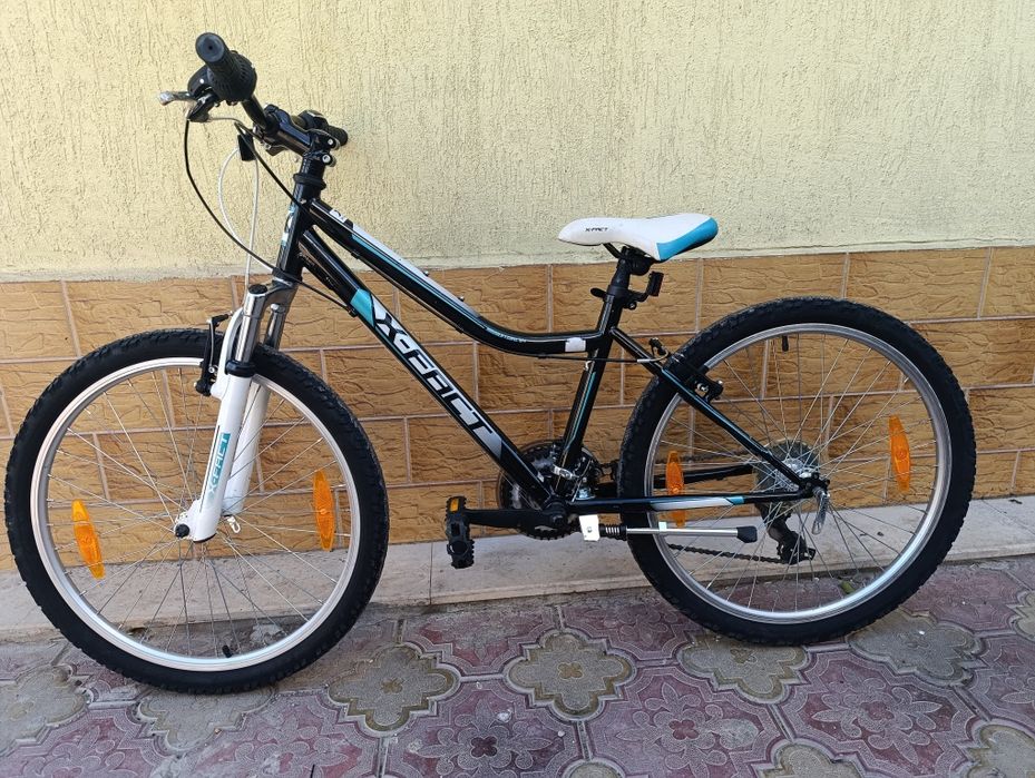 X - Fact 24 цола. .