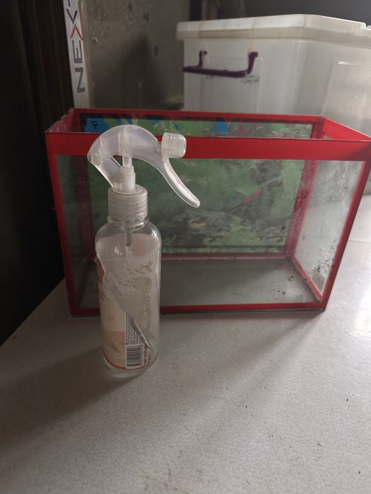 Аквариумы и террариумы контейнеры для насекомых новые