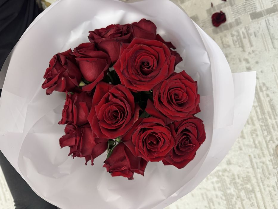 Продам цветы свежие