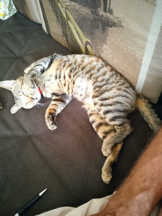 Потеряли члена семьи