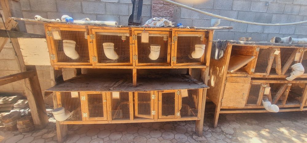 Продам клетки для кроликов