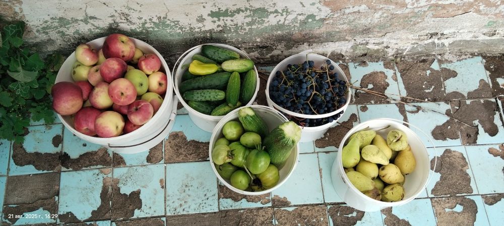 Дача на 19 маршруте