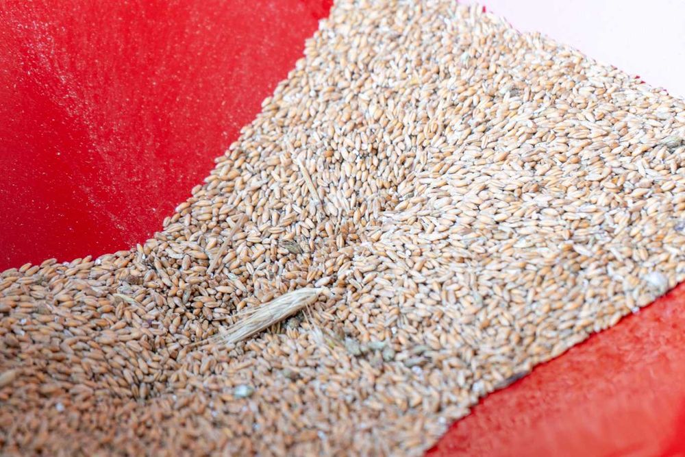 Moara pentru cereale cu motor trifazic 7,5 kW