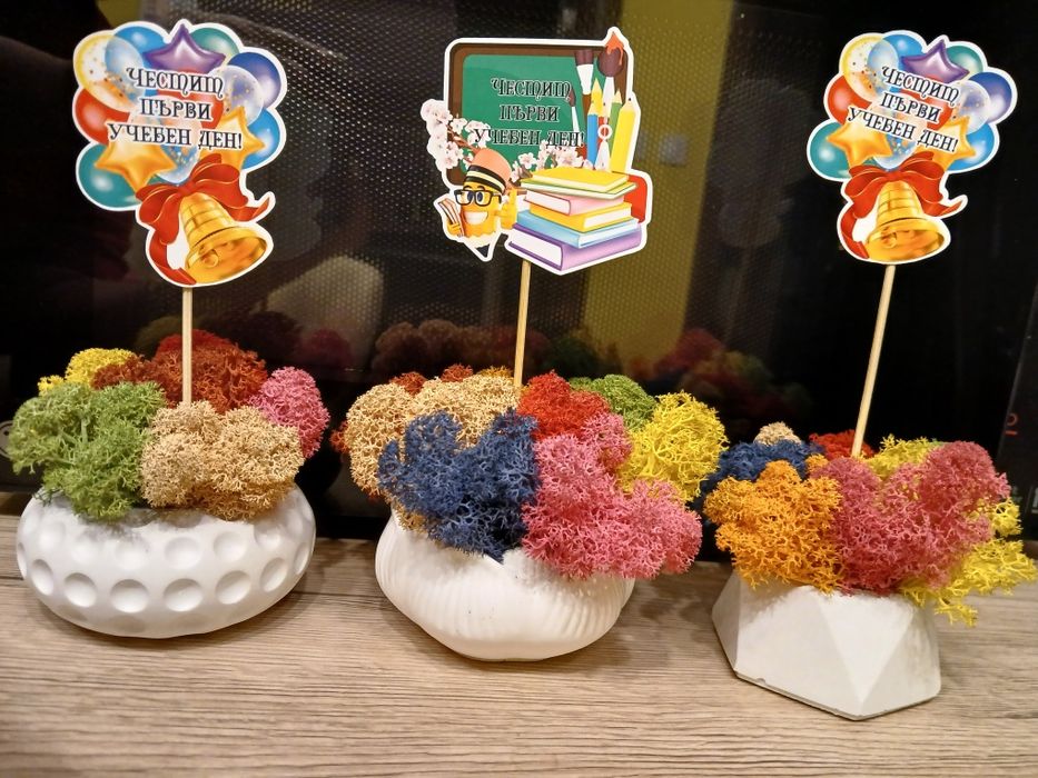 Кашпи със скандинавски мъх