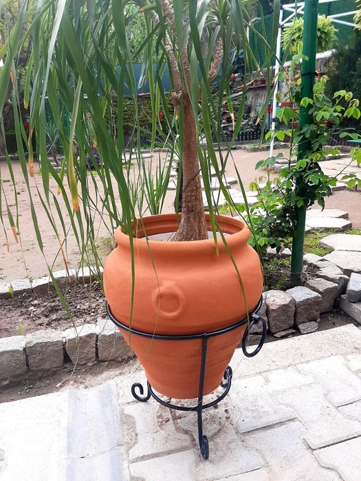 Глинени саксии и поставки от ковано желязо