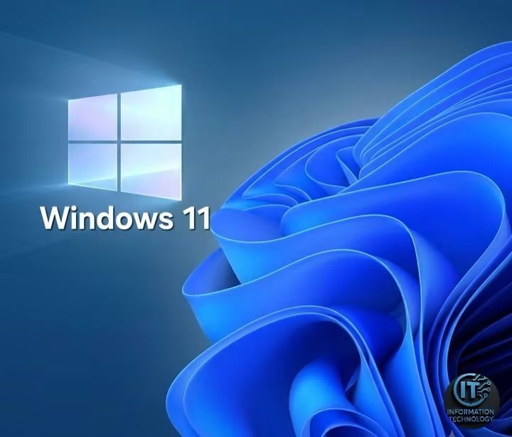 Sisteme de Operare Microsoft