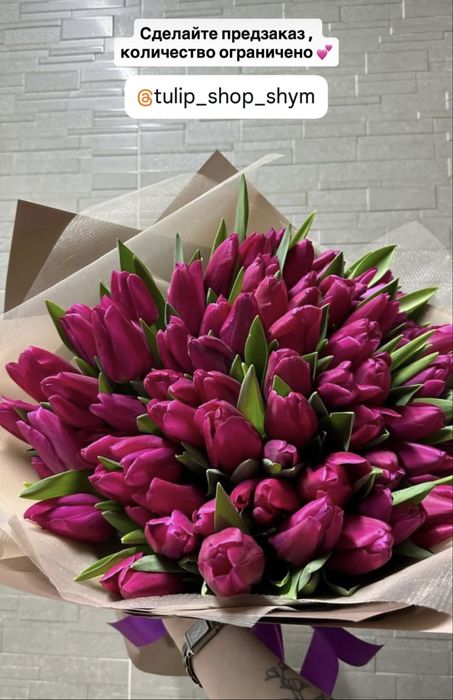 Брат свежие тюльпаны большие