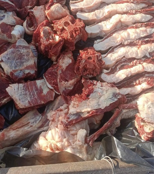 Жылқы еті| мясо конины