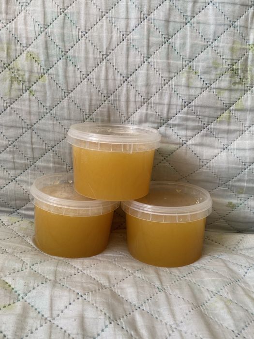 Продам мед домашний