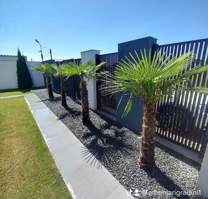 Amenajari gradini cu plante orice specie