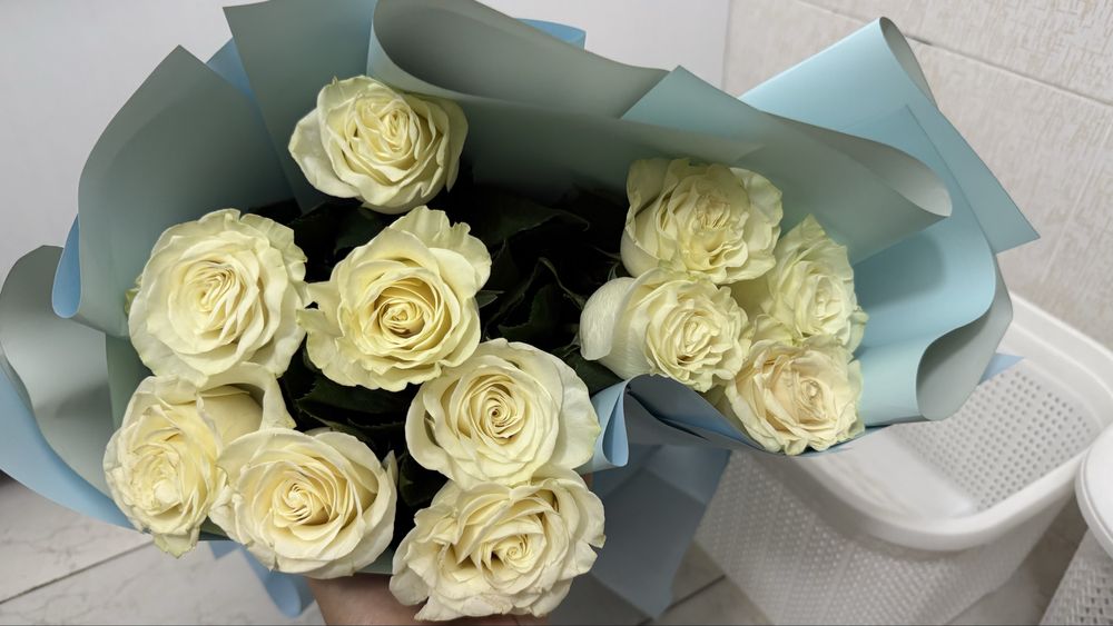 Белые розы цветы свежые