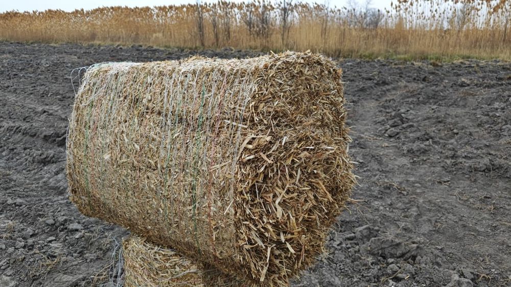 Продам дроблённое сено в тюках