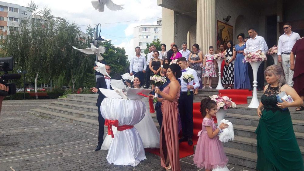 Porumbei albi nunta Braila Galati