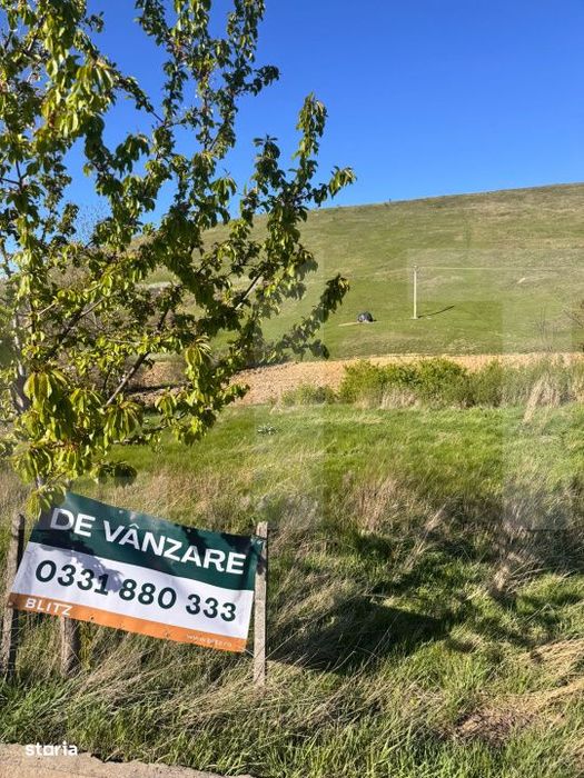 Teren intravilan 3.300 mp, deschidere 26 ml – Baiceni, Curtesti