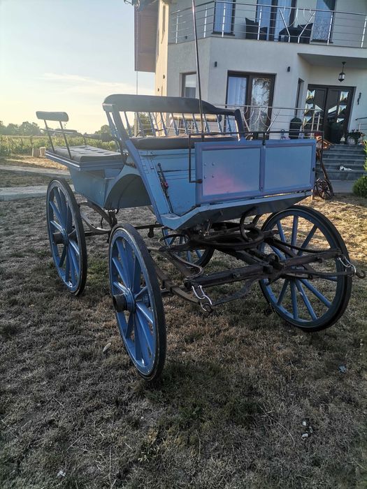 Trasura pentru 1 cal sau 2