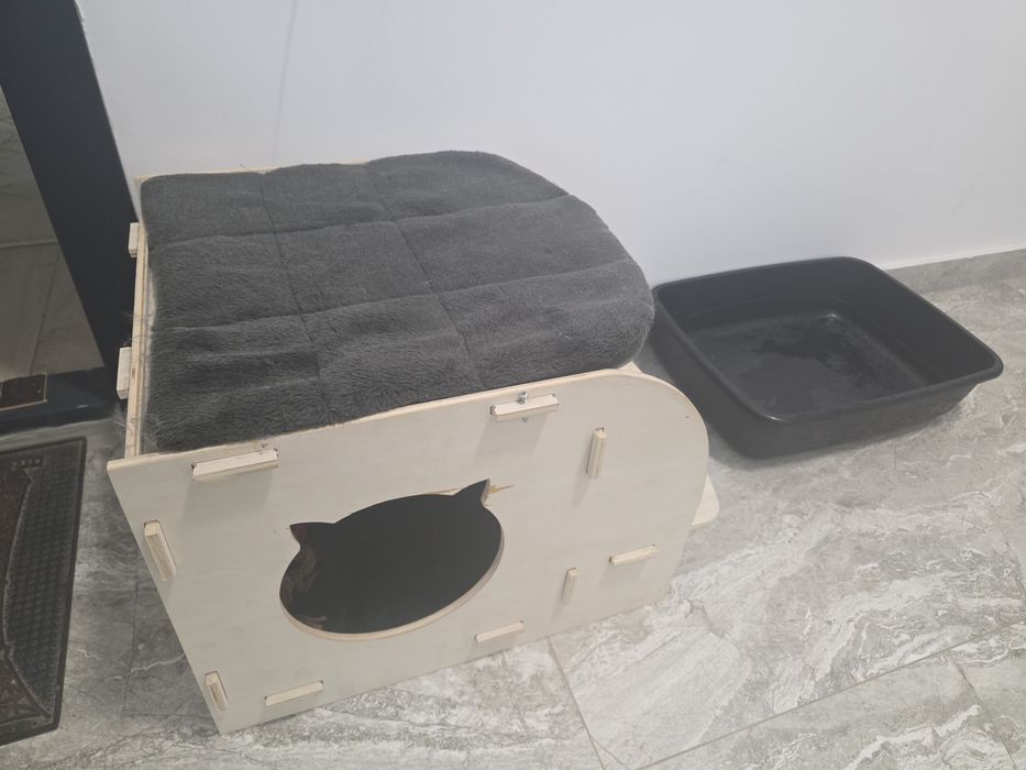 vand căsuța pisici si litiera