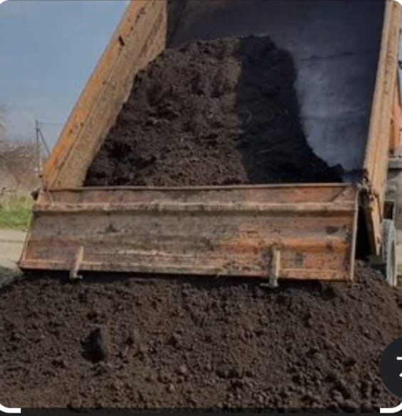 Горный  чернозем