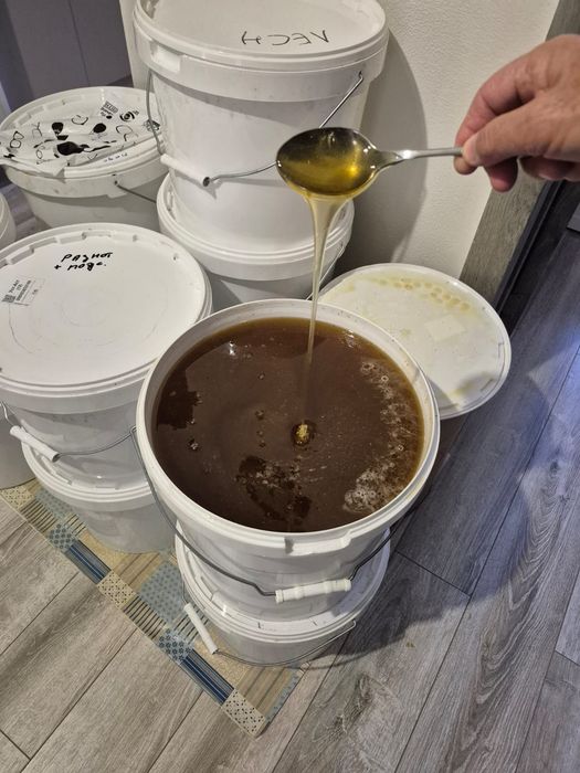 Продам натуральный Алтайский мёд