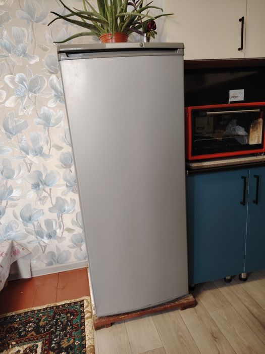 Холодильник бирюсса.