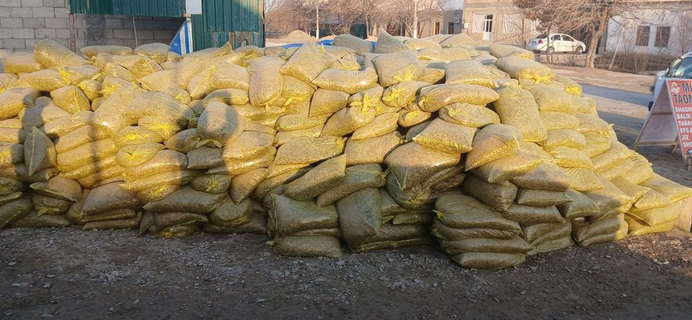 Yaguar silos donlik bugʻdoylik