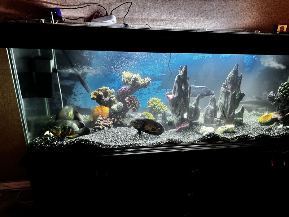 Аквариу 700 литров с тумбой, продается есть торг