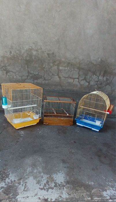 Qafas , qushlar uchun