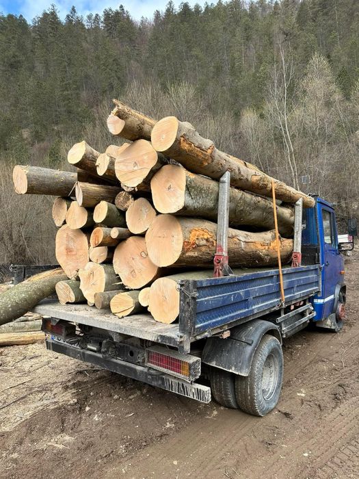 Lemn de Foc Fag, tot judetul Huneodara !!! Cele mai bune preturi!!
