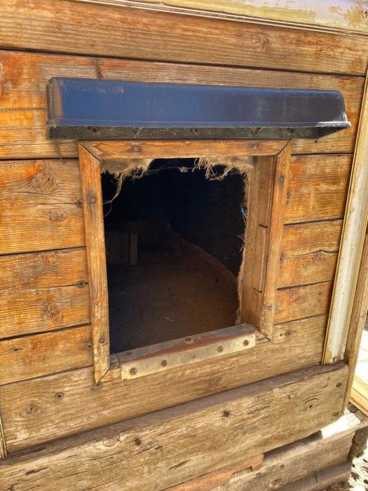 Пролам будку для собаки