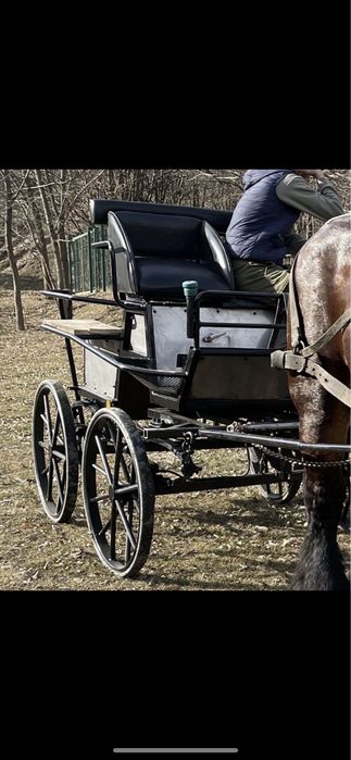 Vând sau schimb trăsură