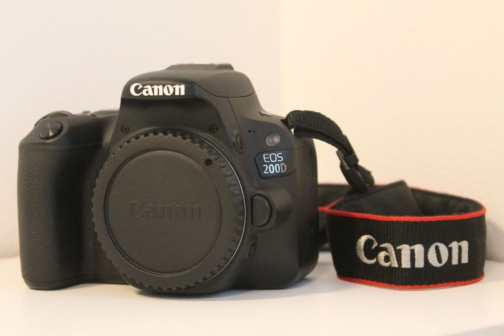 Canon 200 D DSLR 24mpix  + EF-S 18 55 STM
