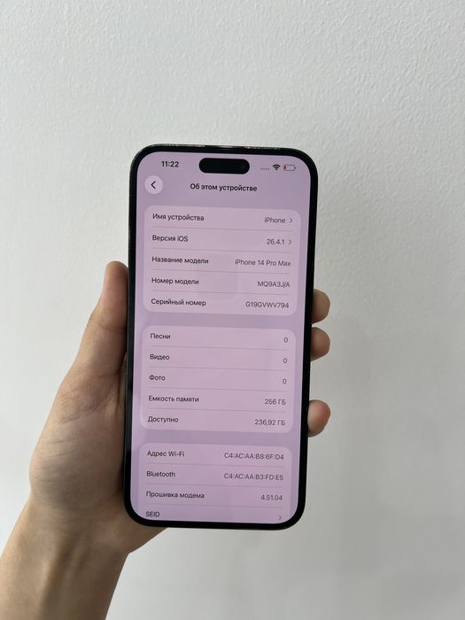 iPhone 14 Pro Max 256/81%