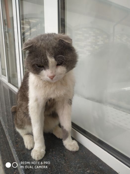 Dnepropetrovskda jinsiy aloqa uchun