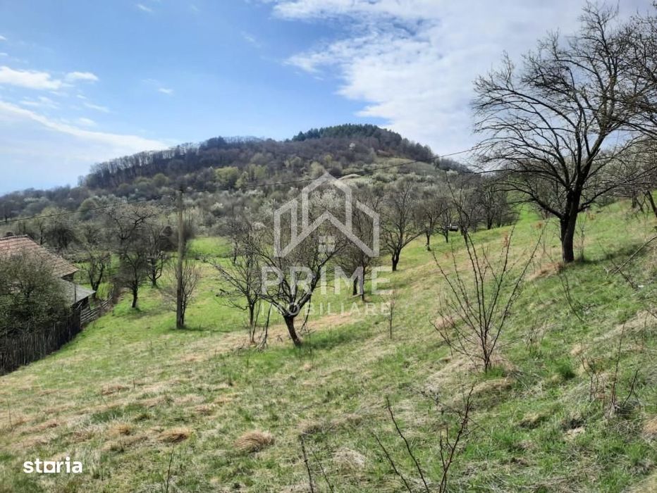 Teren Intravilan 13700 Mp, Inuri, Vintu De Jos