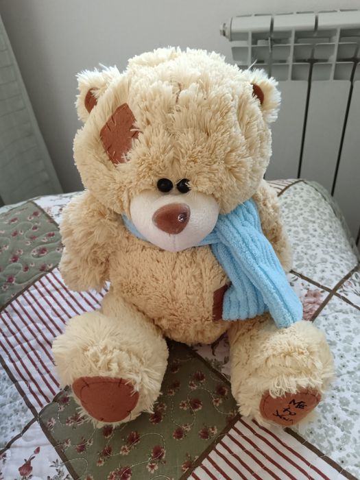 Мишка тедди, teddy