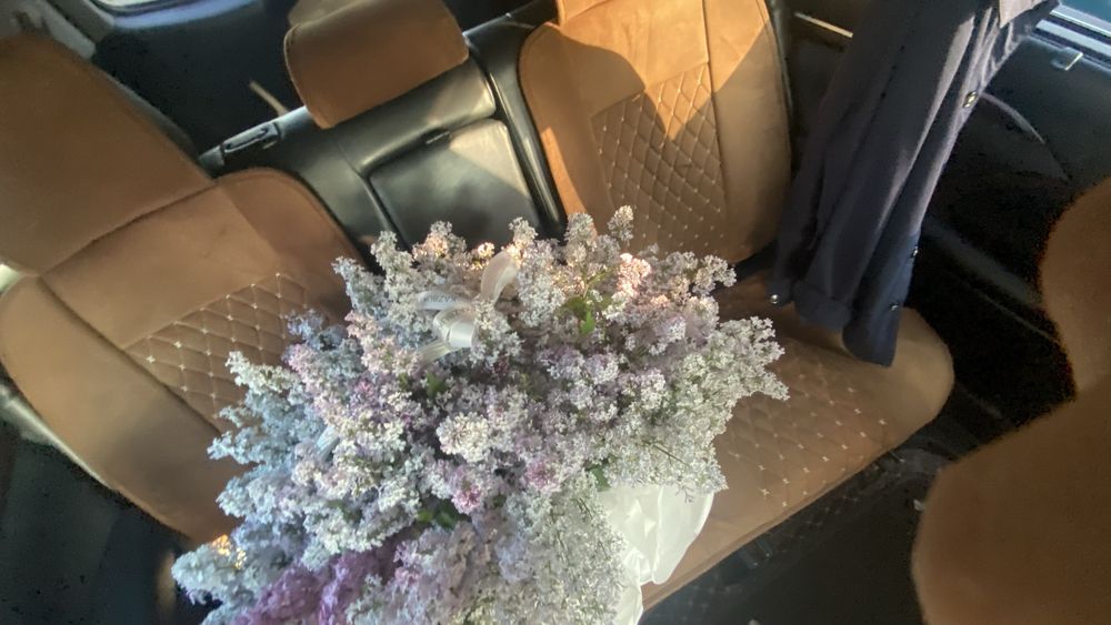 Сирень Апрелский