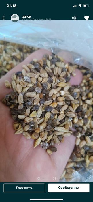 Зерноотходы Отруби Овёс Полова