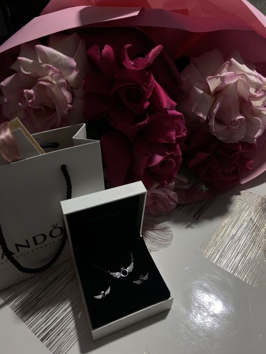 Комплект сережки с кулоном pandora