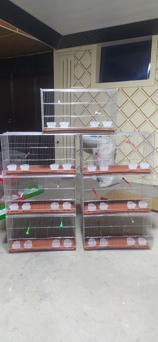 Большой выбор клеток для птиц