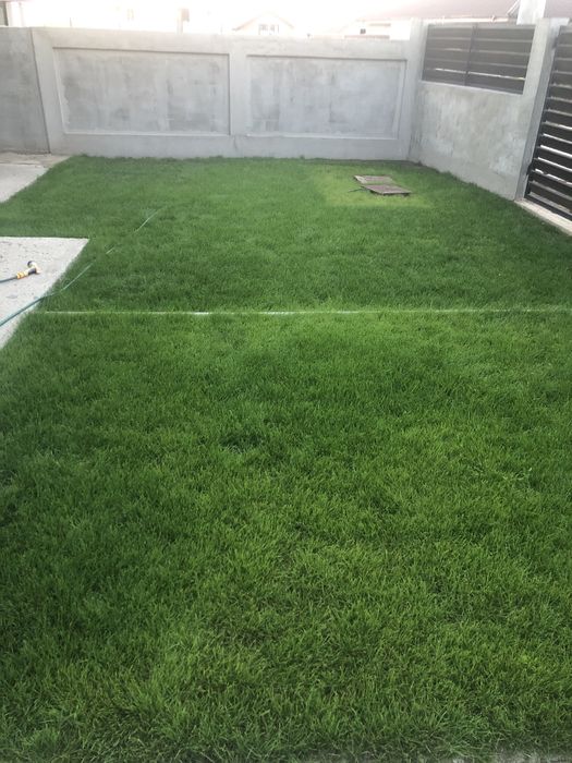 Întreținere grădină