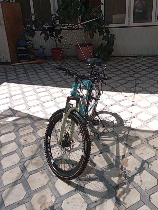 Velosapet sotiladi