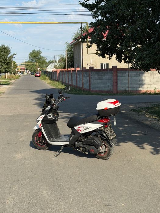 Лия самурай 2025