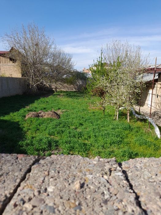 Юнусабад Хасанбой. Зенит.