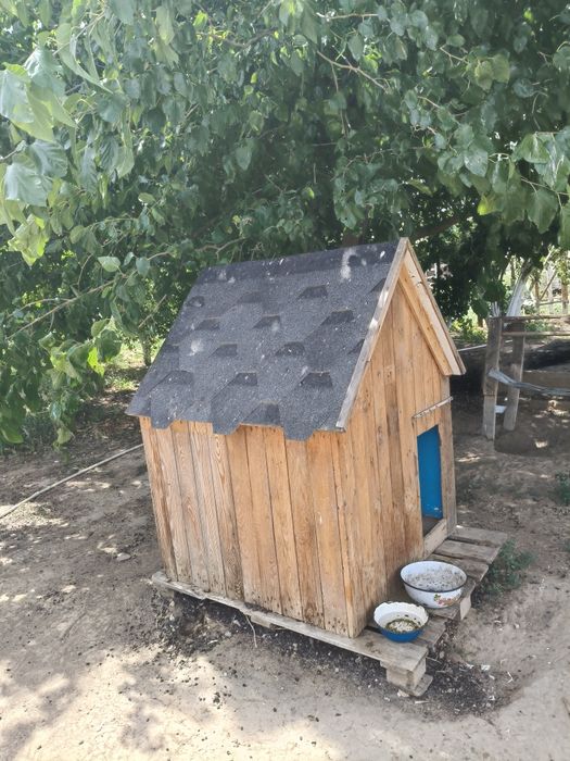 Продам домик для собак