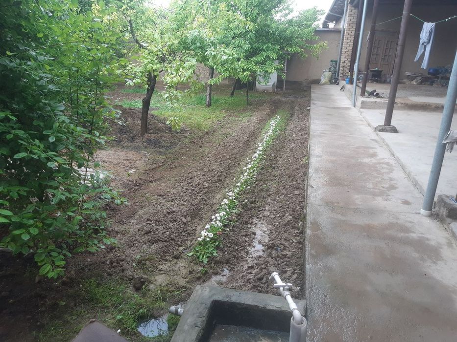 Уй сотилади 10 сотих 5 хона сув,свет,газ бор