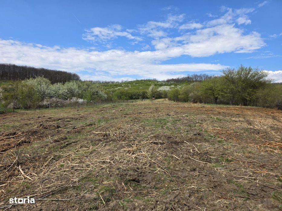 De vânzare teren intravilan – Bârsău, jud. Hunedoara