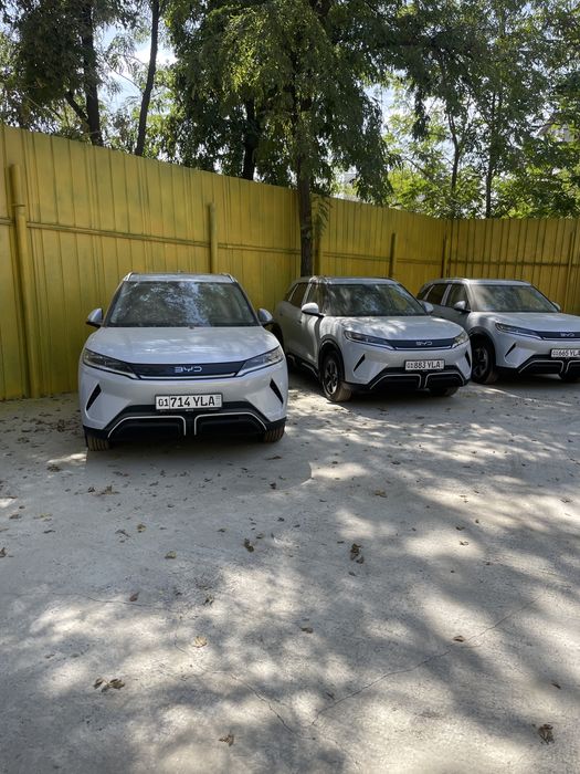 Suhoy arenda Yuan Up BYD E2