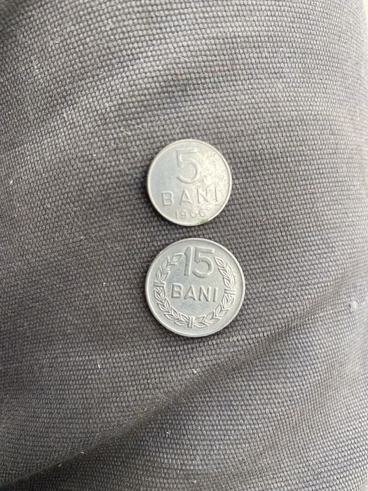 Moneda 5 bani si 15 bani 1966